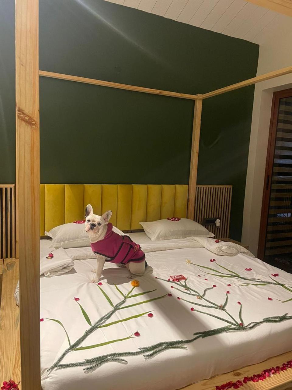 Rawai Luxury Tents Pushkar Ngoại thất bức ảnh